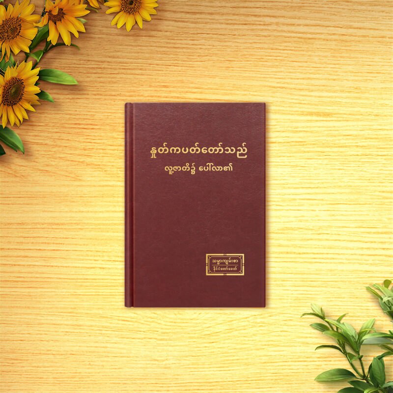 ဘုရားသခင်၏ နေ့စဉ် နှုတ်ကပတ်တော်များ- ဘုရားသခင်ကို သိမြင်ခြင်း