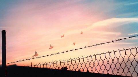 ဆိုးယုတ်သော ဖိနှိပ်မှုမှ ထမြောက်ခြင်း